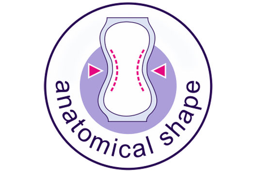 anatomica-shape